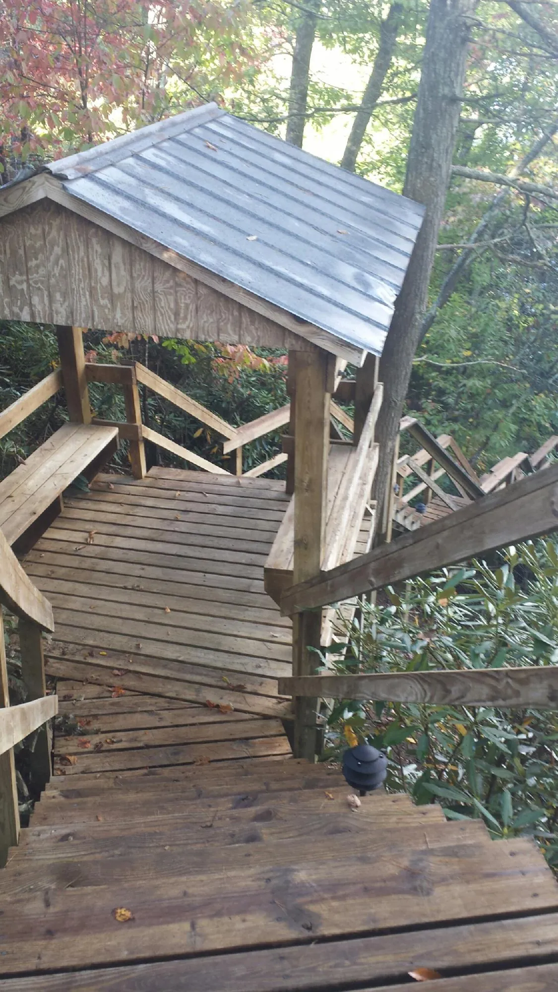 Metal roofed shelter over wooden steps on a wooded walkway — Skylight Repair & Installation work by our crew in Raymondville